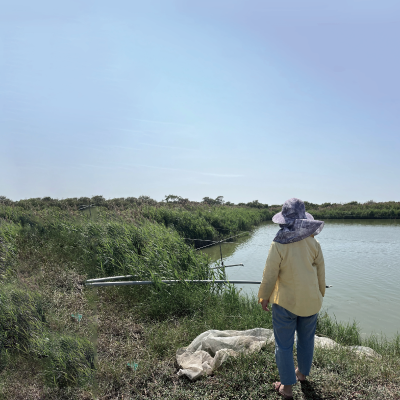 怪手無情的闖進小璇的家園